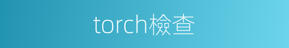 torch檢查的同義詞