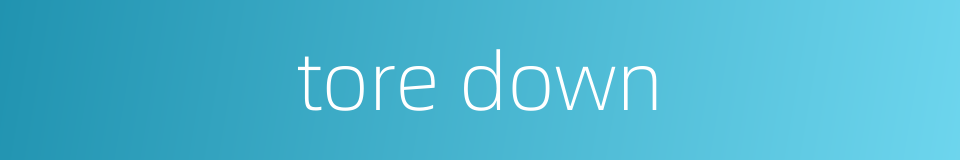 tore down的同义词