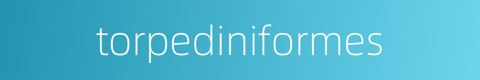 torpediniformes的同义词