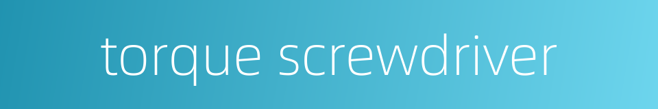 torque screwdriver的同义词