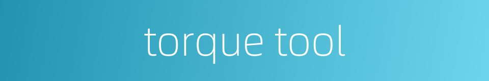 torque tool的同义词