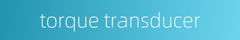 torque transducer的同义词