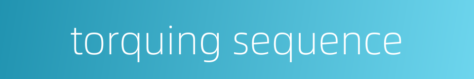 torquing sequence的同义词