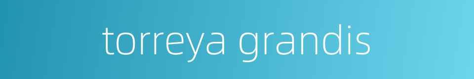 torreya grandis的同义词
