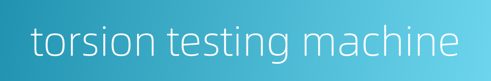 torsion testing machine的同义词