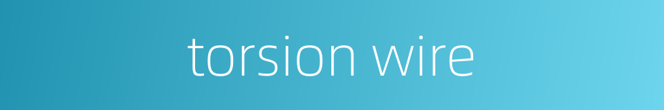 torsion wire的同义词