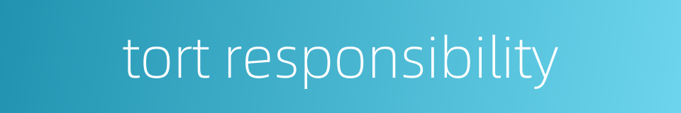 tort responsibility的同义词