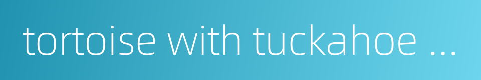 tortoise with tuckahoe soup的同义词