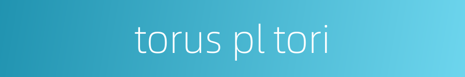 torus pl tori的同义词