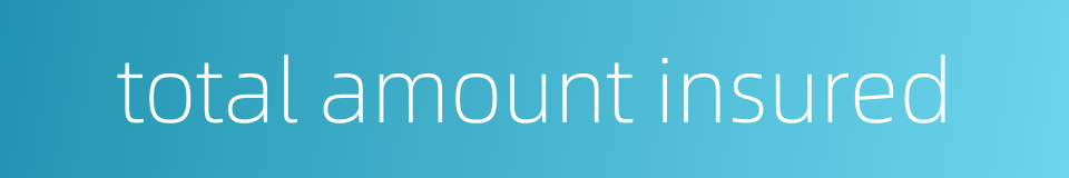 total amount insured的同义词