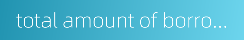 total amount of borrowing的同义词