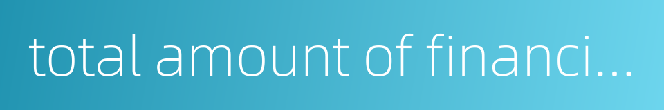 total amount of financing的同义词