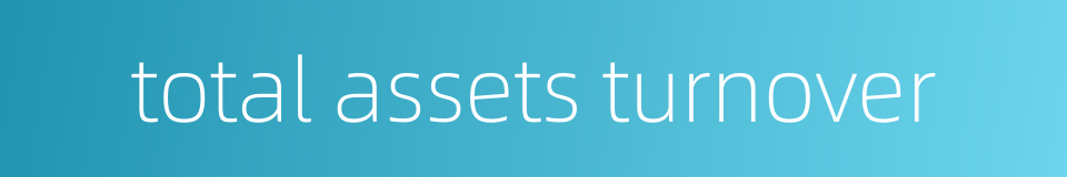 total assets turnover的同义词