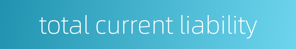 total current liability的同义词