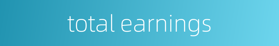 total earnings的同义词