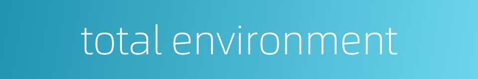 total environment的同义词