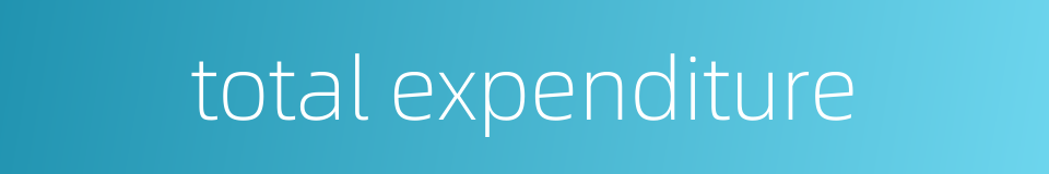 total expenditure的同义词