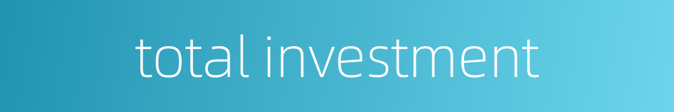 total investment的同义词