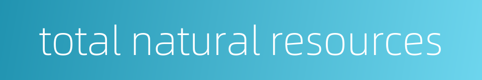 total natural resources的同义词