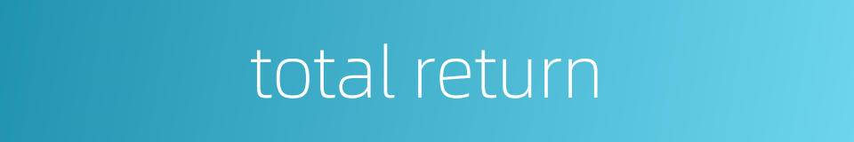 total return的同义词