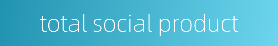 total social product的同义词