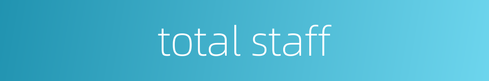 total staff的同义词