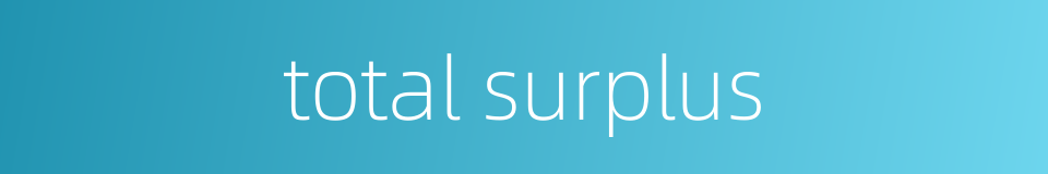 total surplus的同义词