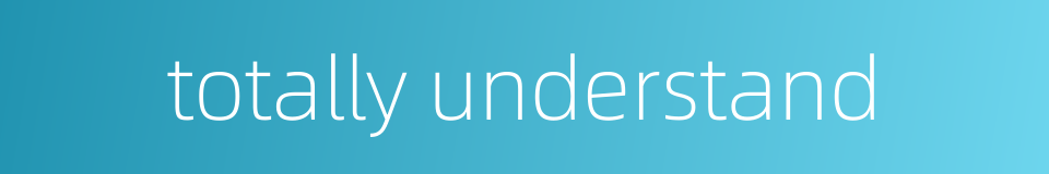 totally understand的同义词