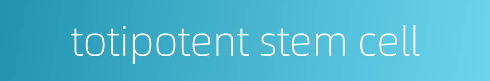 totipotent stem cell的同义词