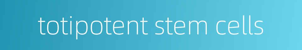 totipotent stem cells的同义词