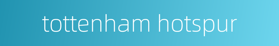 tottenham hotspur的同义词