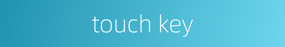 touch key的同义词