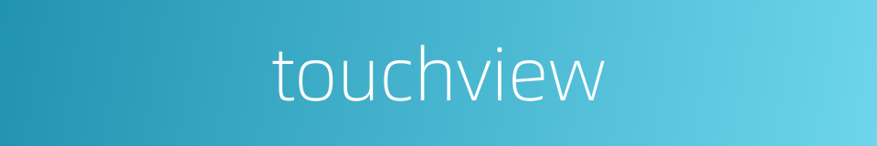 touchview的意思