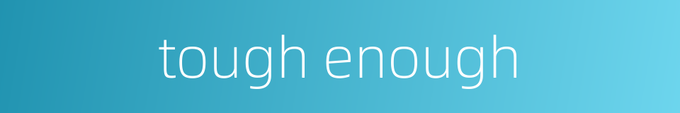 tough enough的同义词