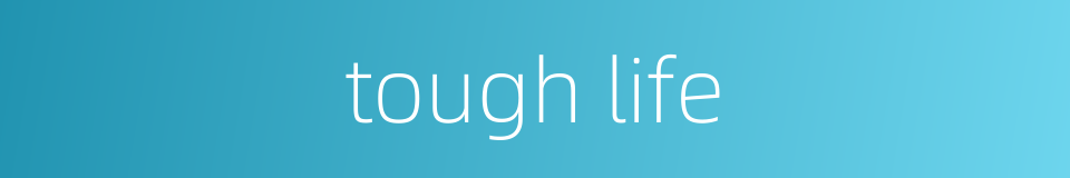 tough life的同义词