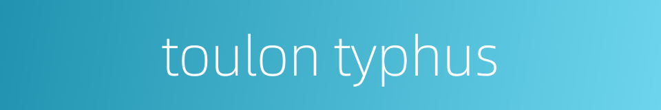 toulon typhus的同义词