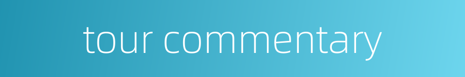 tour commentary的同义词