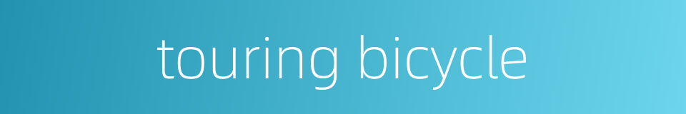 touring bicycle的同义词