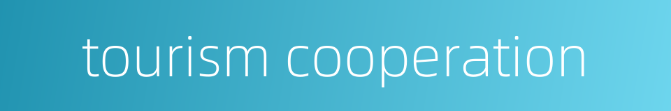 tourism cooperation的同义词