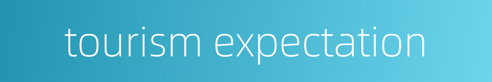 tourism expectation的同义词