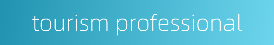 tourism professional的同义词