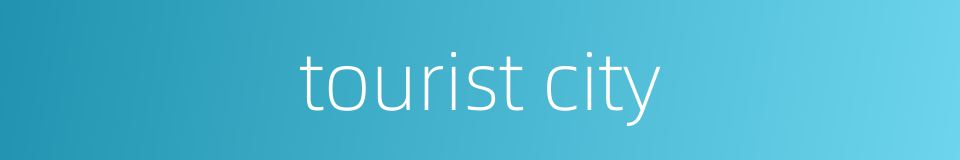 tourist city的同义词