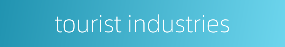 tourist industries的同义词