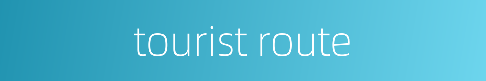 tourist route的同义词