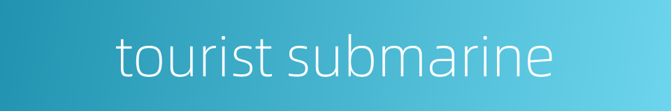 tourist submarine的同义词