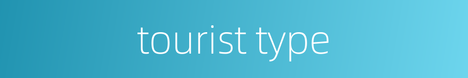 tourist type的同义词