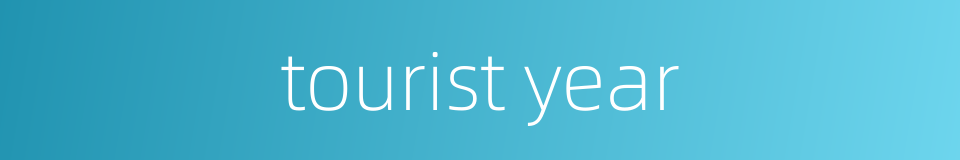 tourist year的同义词