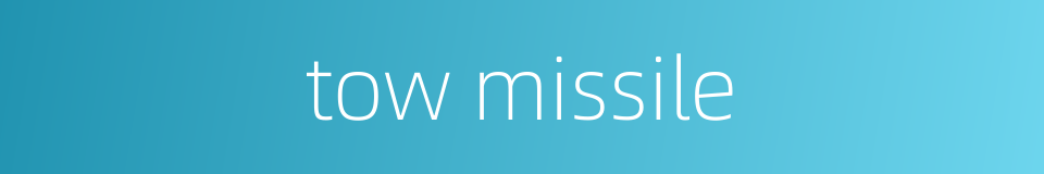 tow missile的同义词