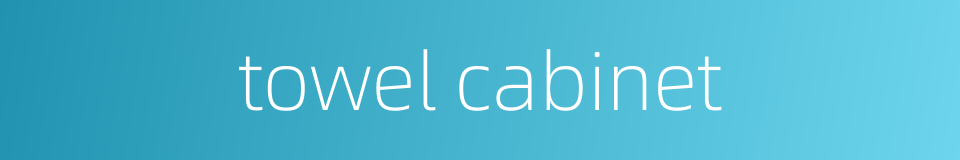towel cabinet的同义词