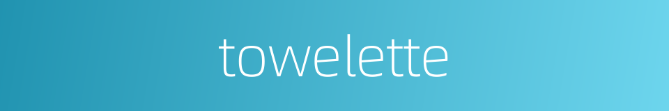 towelette的同义词